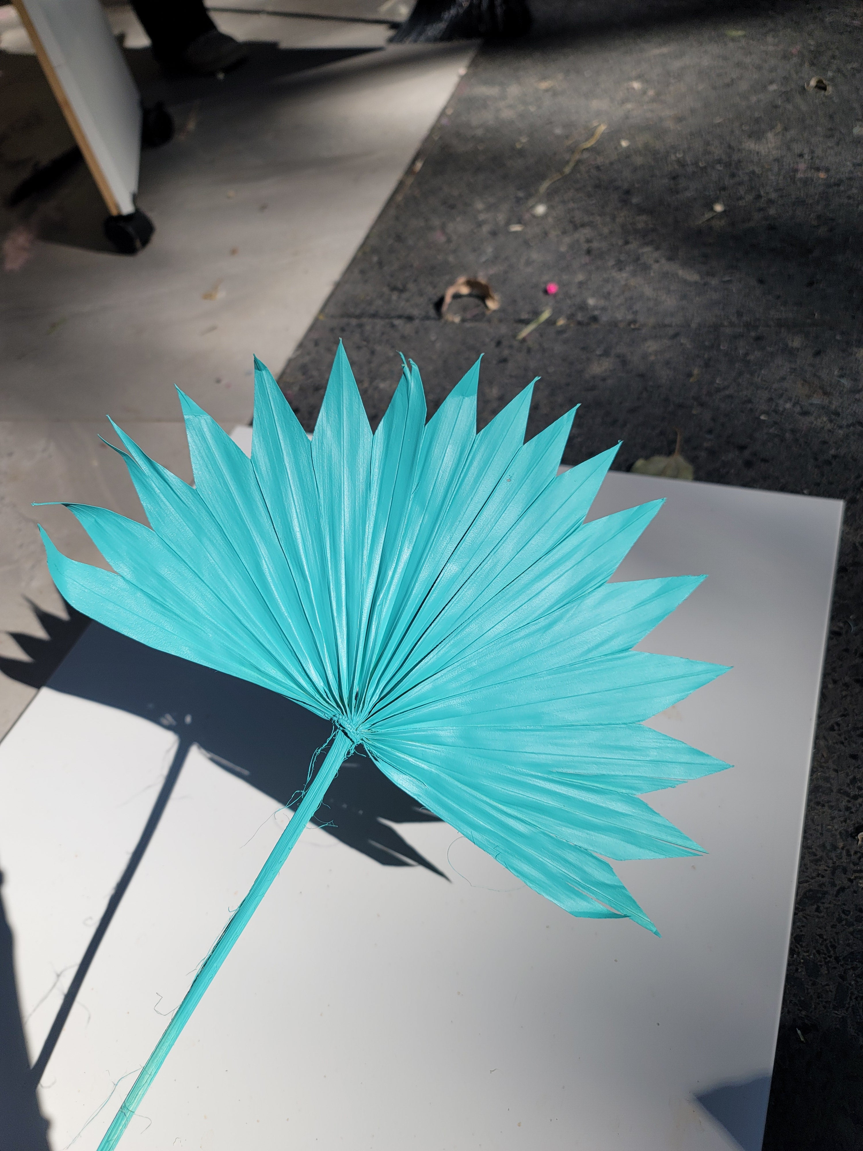 Sun Palm - Sprayed Bright Blue