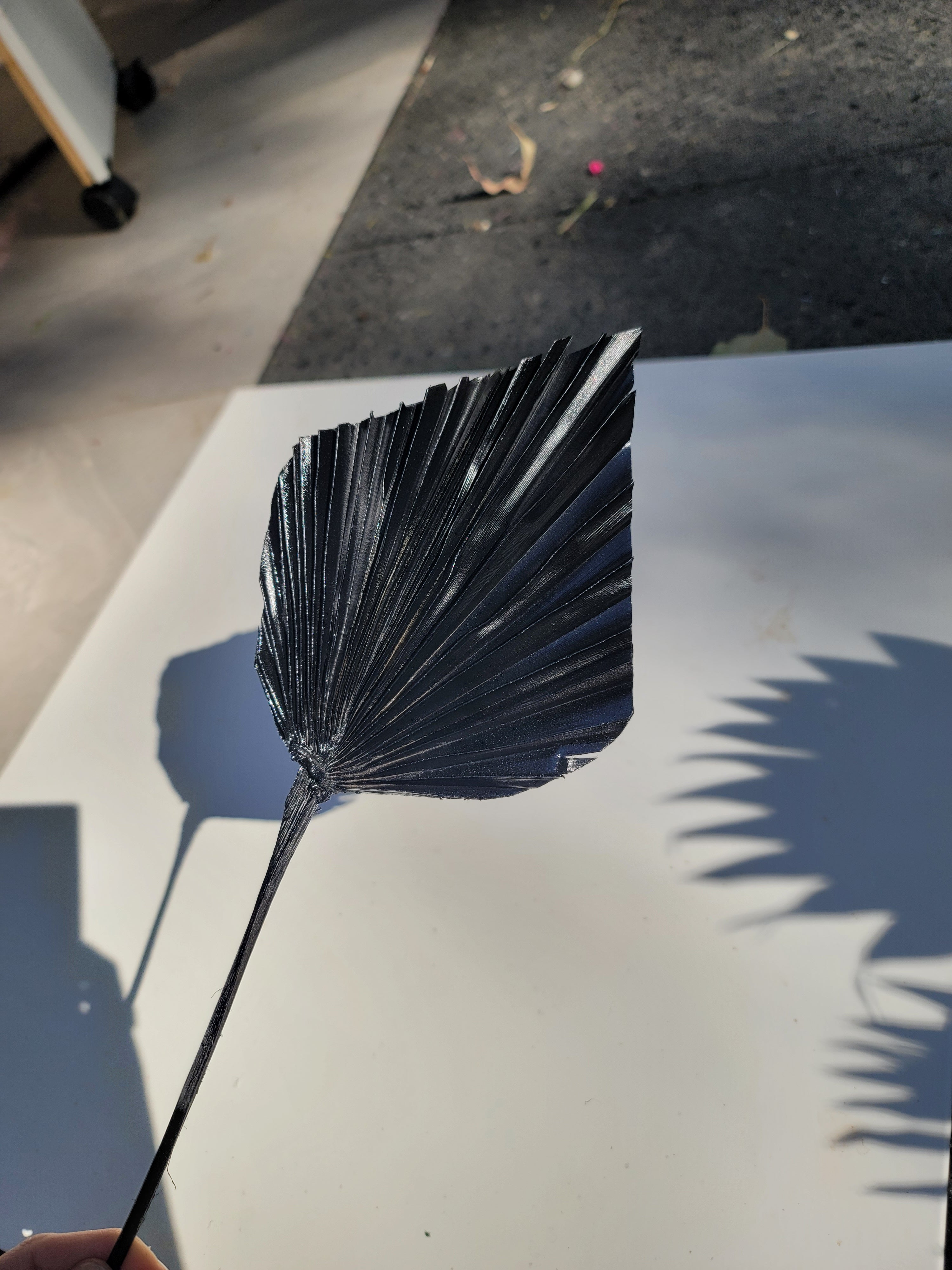 Spear Palm - Sprayed Black