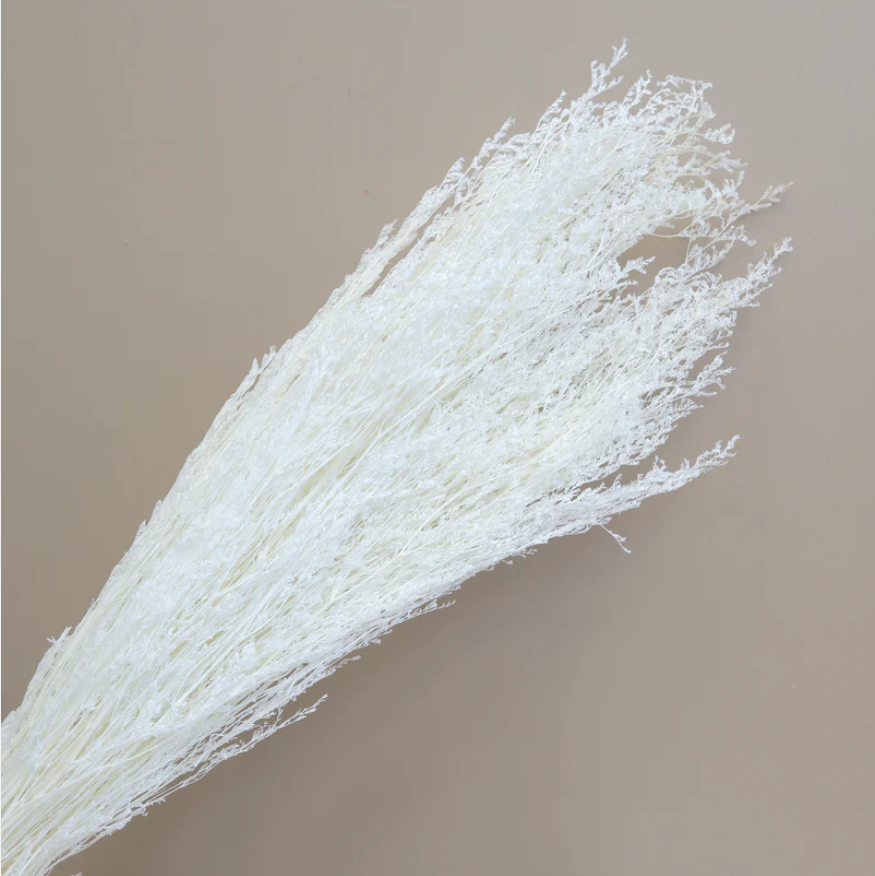 Valentines Grass - White