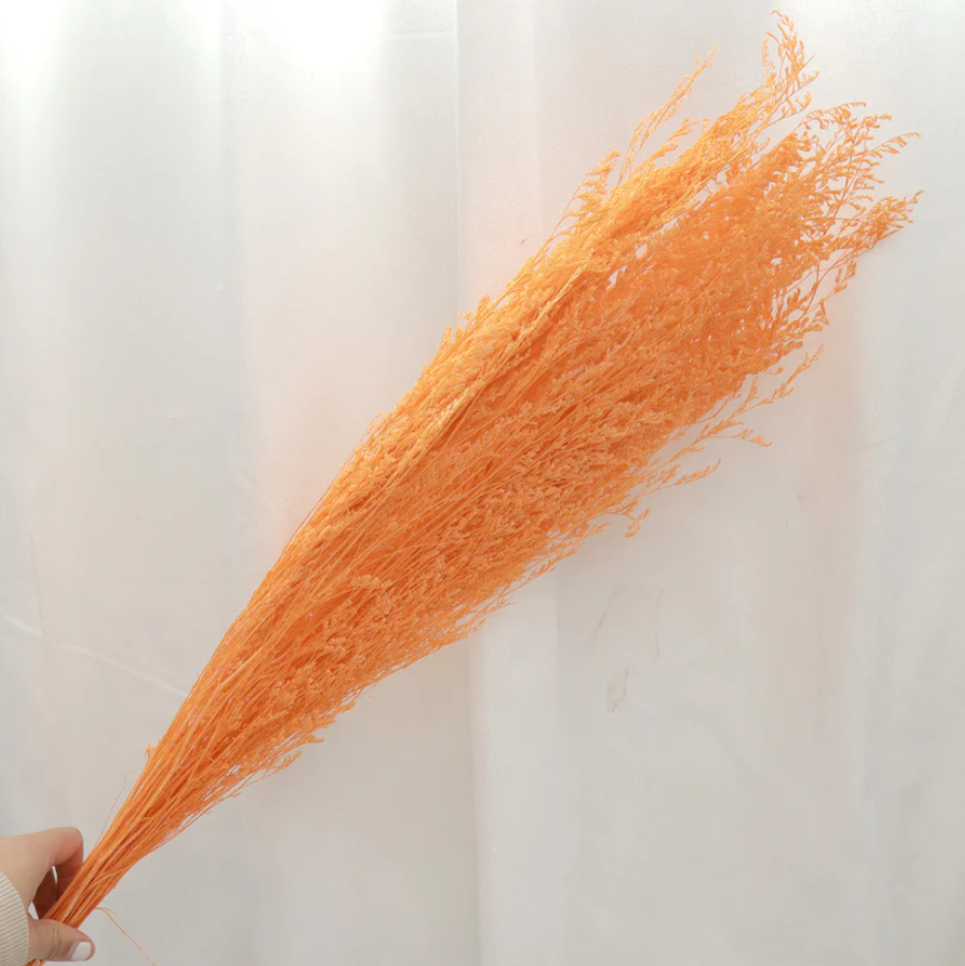 Valentines Grass - Orange